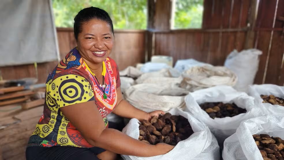COOPAFLORA: povos tradicionais impulsionam socio bioeconomia na Amazônia