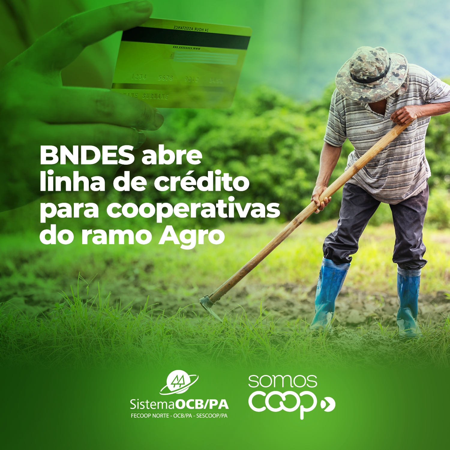 BNDES abre linha de crédito para cooperativas do ramo Agro