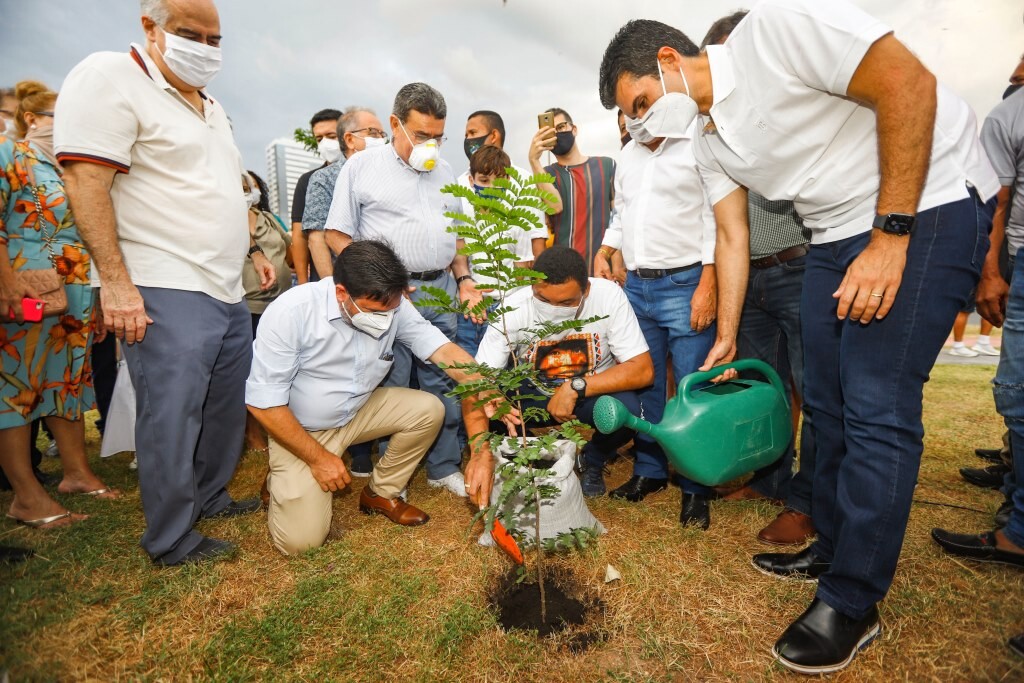 Sistema OCB/PA participa de plantio no Belém Porto Futuro