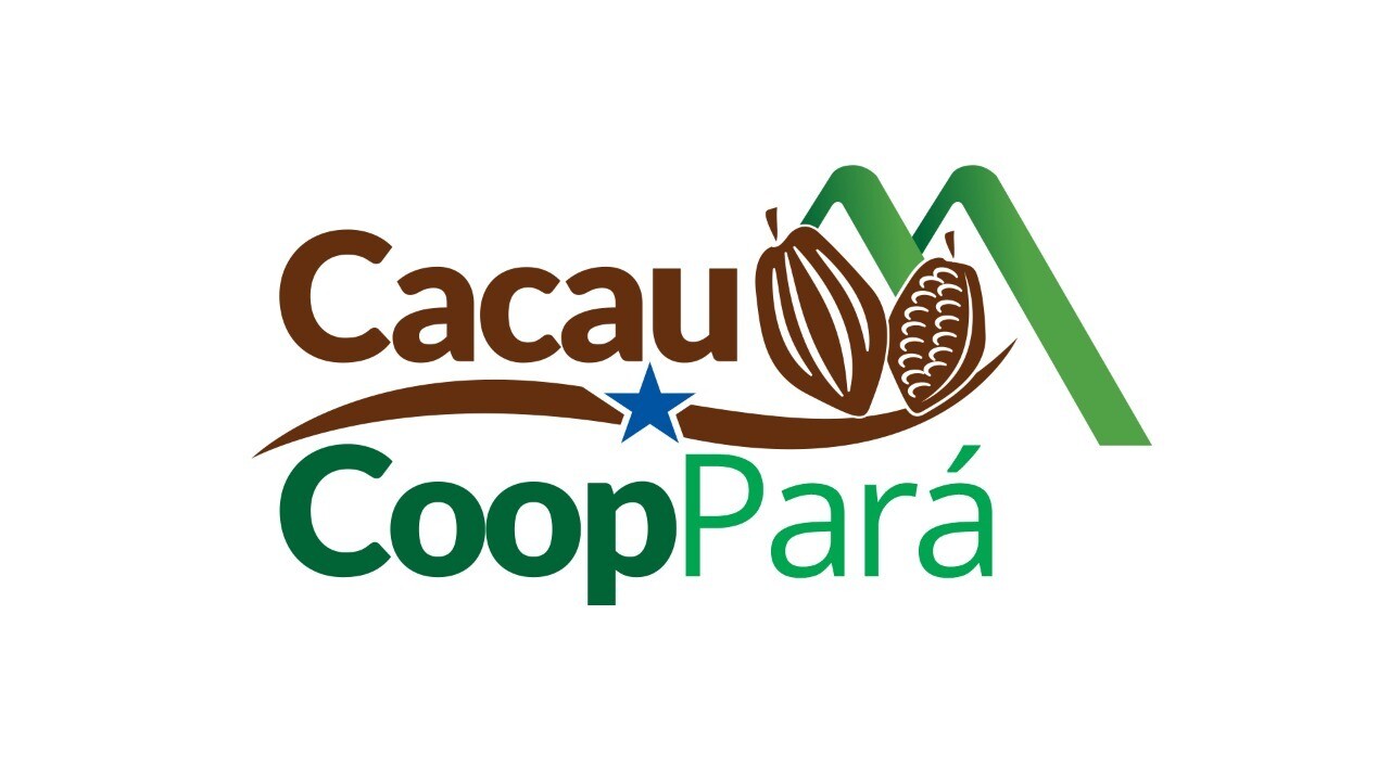 Programa Cacau Coop Pará: Fomenta a produção de cacau e fortalece a economia sustentável
