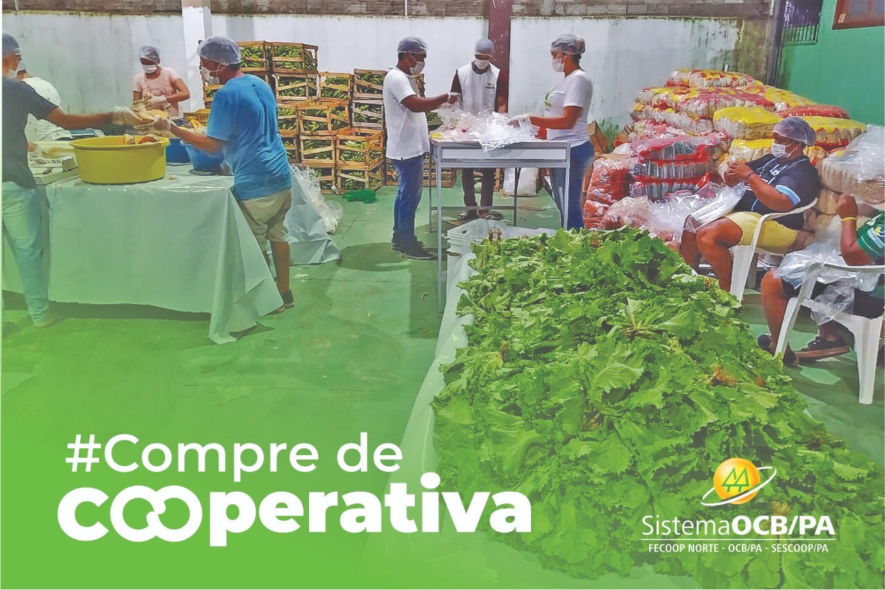 Campanha estimula a compra em cooperativas