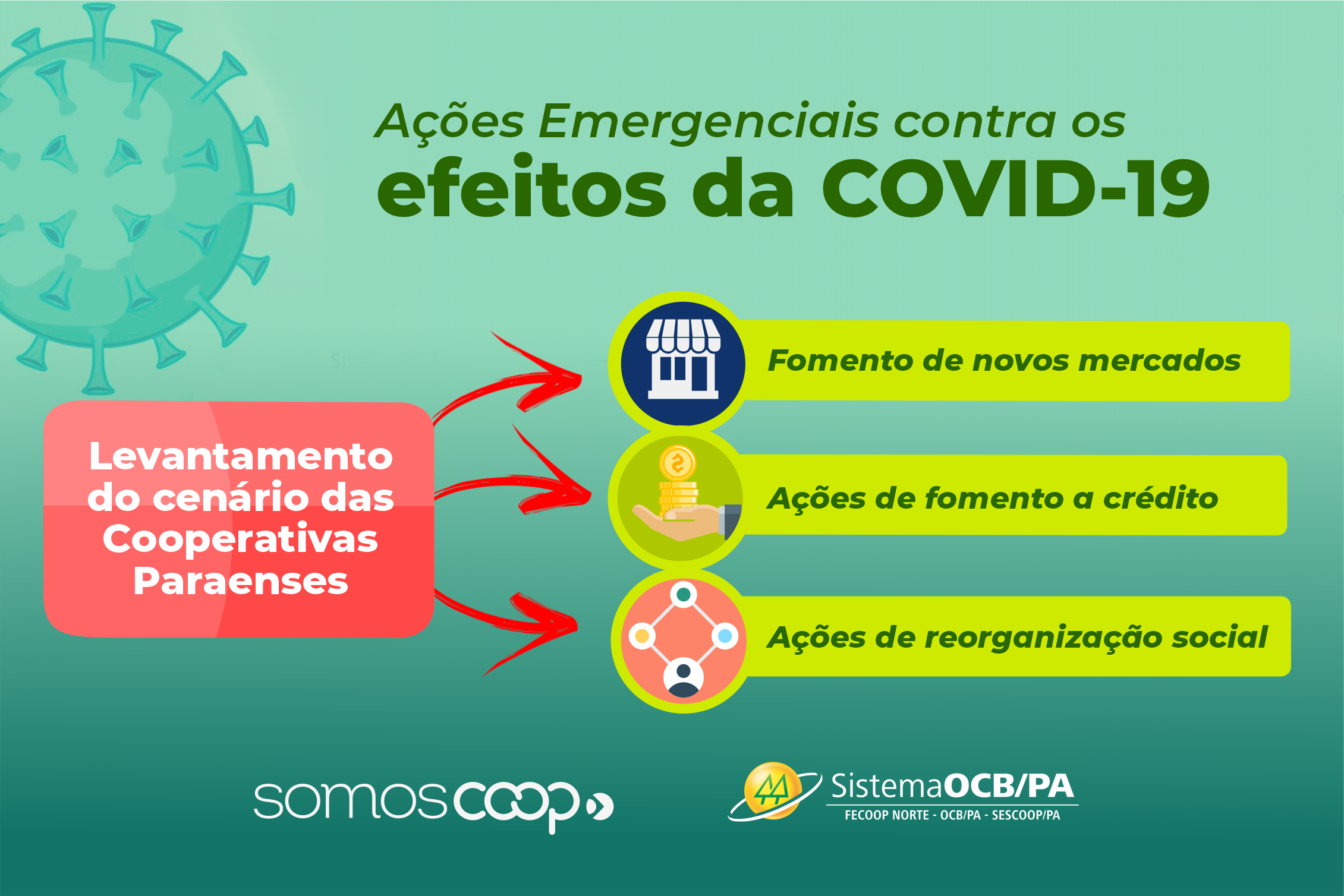 OCB/PA promove ações emergenciais contra os efeitos da Covid-19