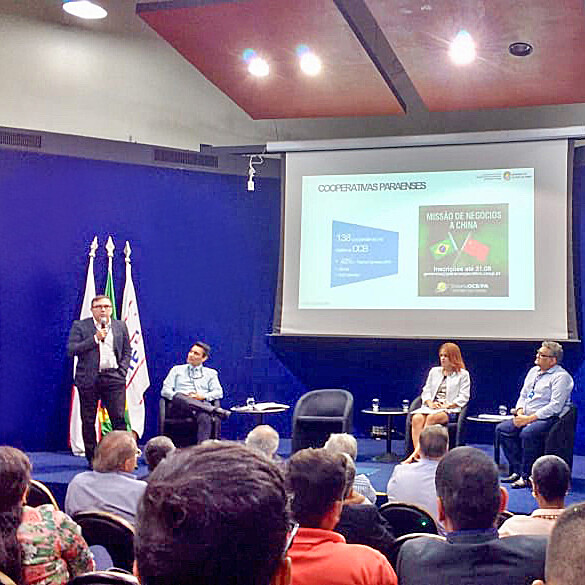Cooperativismo é alternativa para ampliar exportação