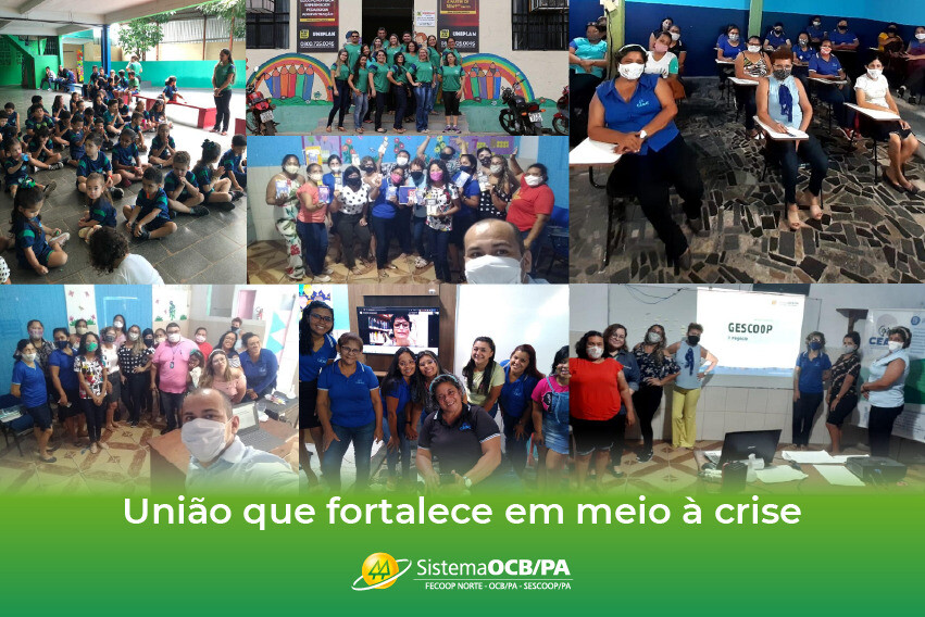 Cooperativas de educação mantém aulas durante a pandemia