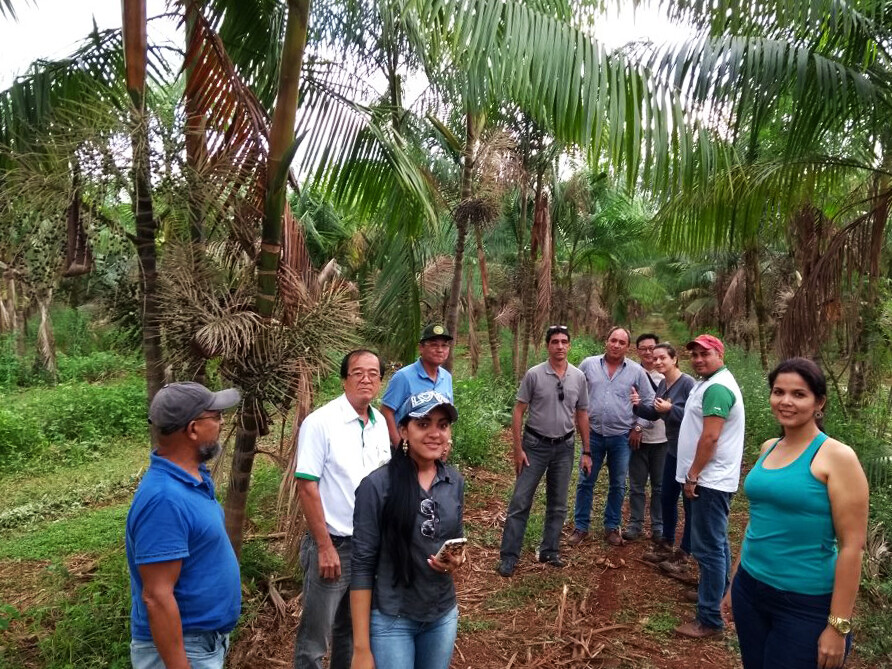 CAMTA visita São Félix e planeja expandir para o município