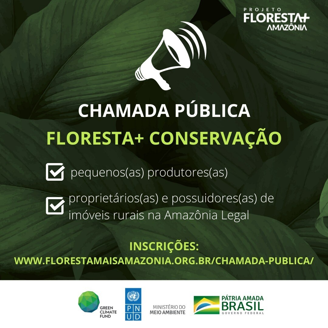 Projeto concede incentivo financeiro para produtores que conservem áreas na Amazônia