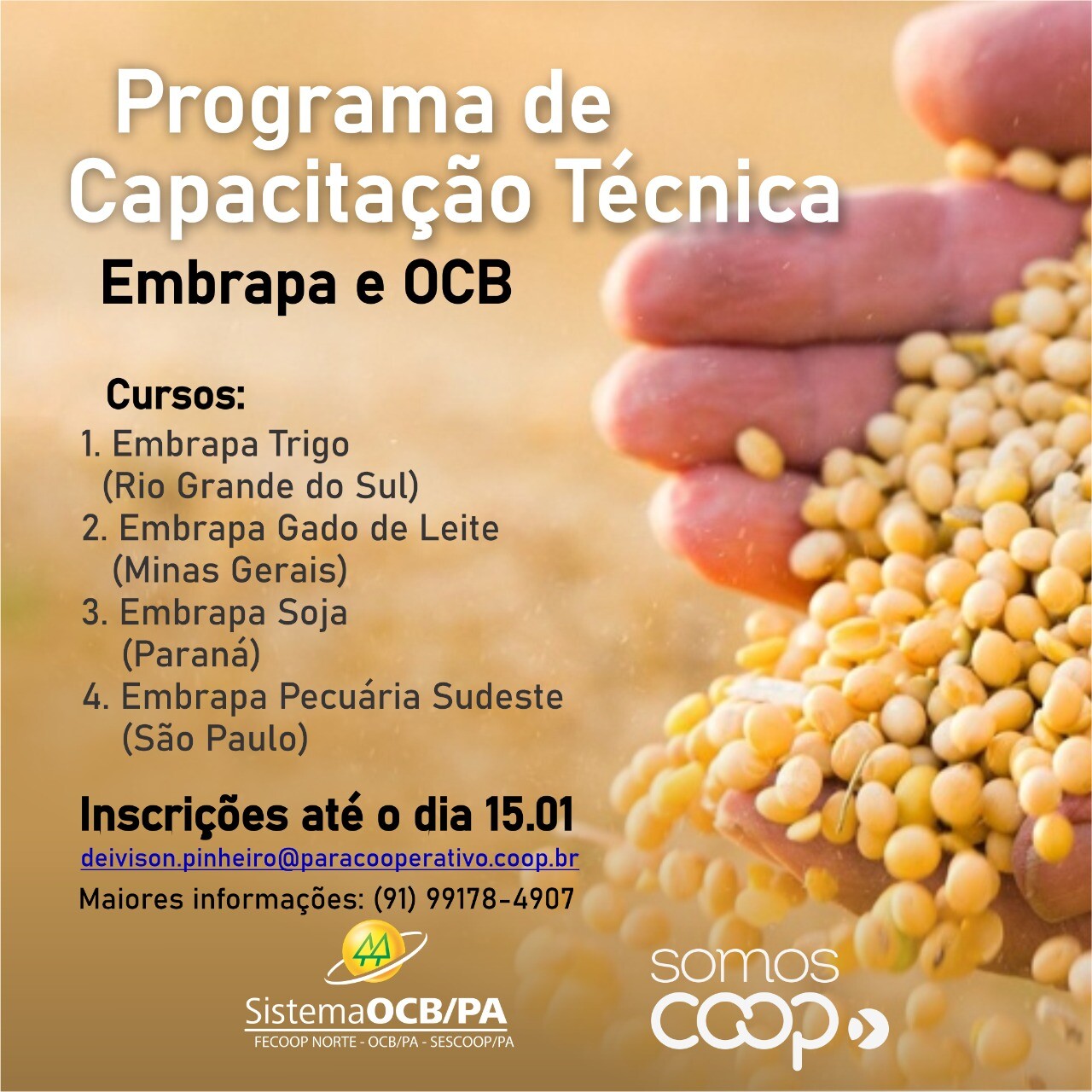 OCB e Embrapa qualificarão técnicos de cooperativas Agro
