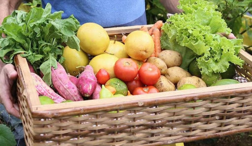 Cooafac faz entrega de kits da merenda escolar em Canaã dos Carajás