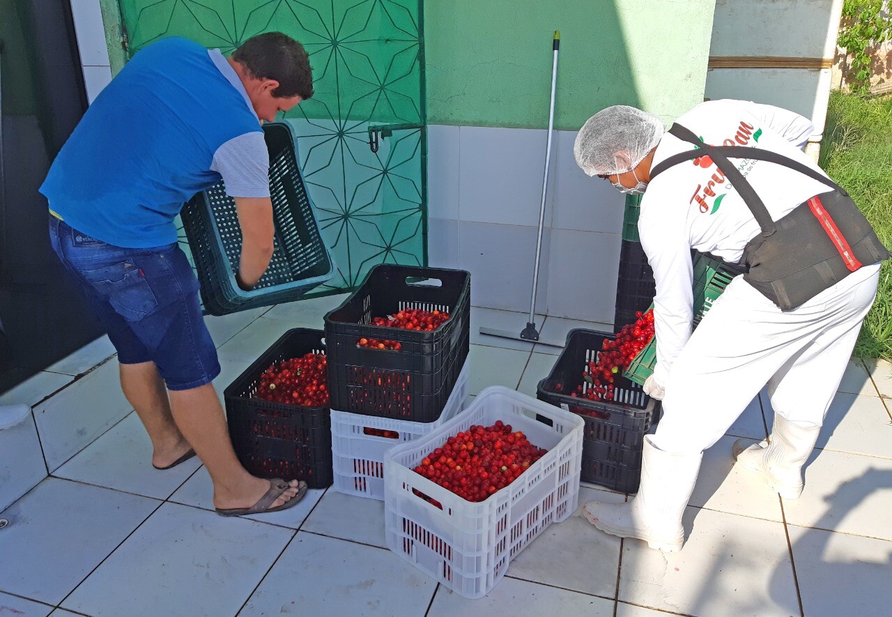 Sistema OCB/PA discute com a CONAB e demais entidades a criação de rede de abastecimento de produtos alimentícios no Pará