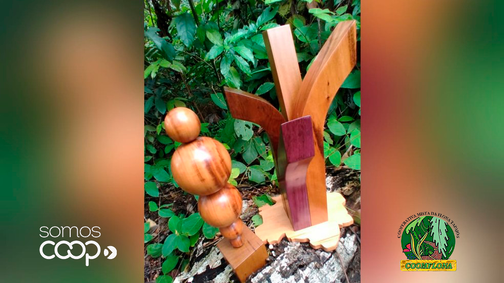 Coomflona produziu troféu da Copa Verde 2021