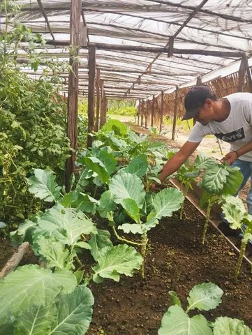 Cooperativas da agricultura familiar garantem merenda escolar de qualidade e transformam vidas do campo à sala de aula